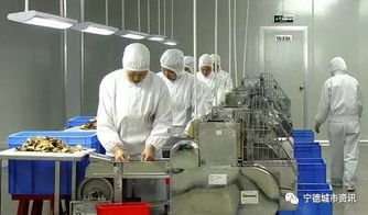 建設丨寧德古田5千萬的鳳都工業集中區食用菌精深加工項目將這樣建