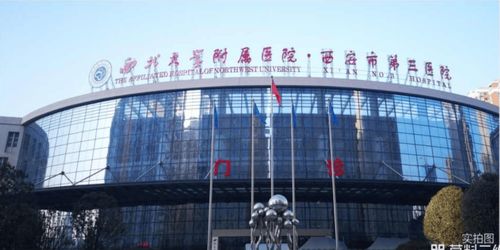 西安招商林嶼縵島 多維解析，揭秘主城宜居新標桿